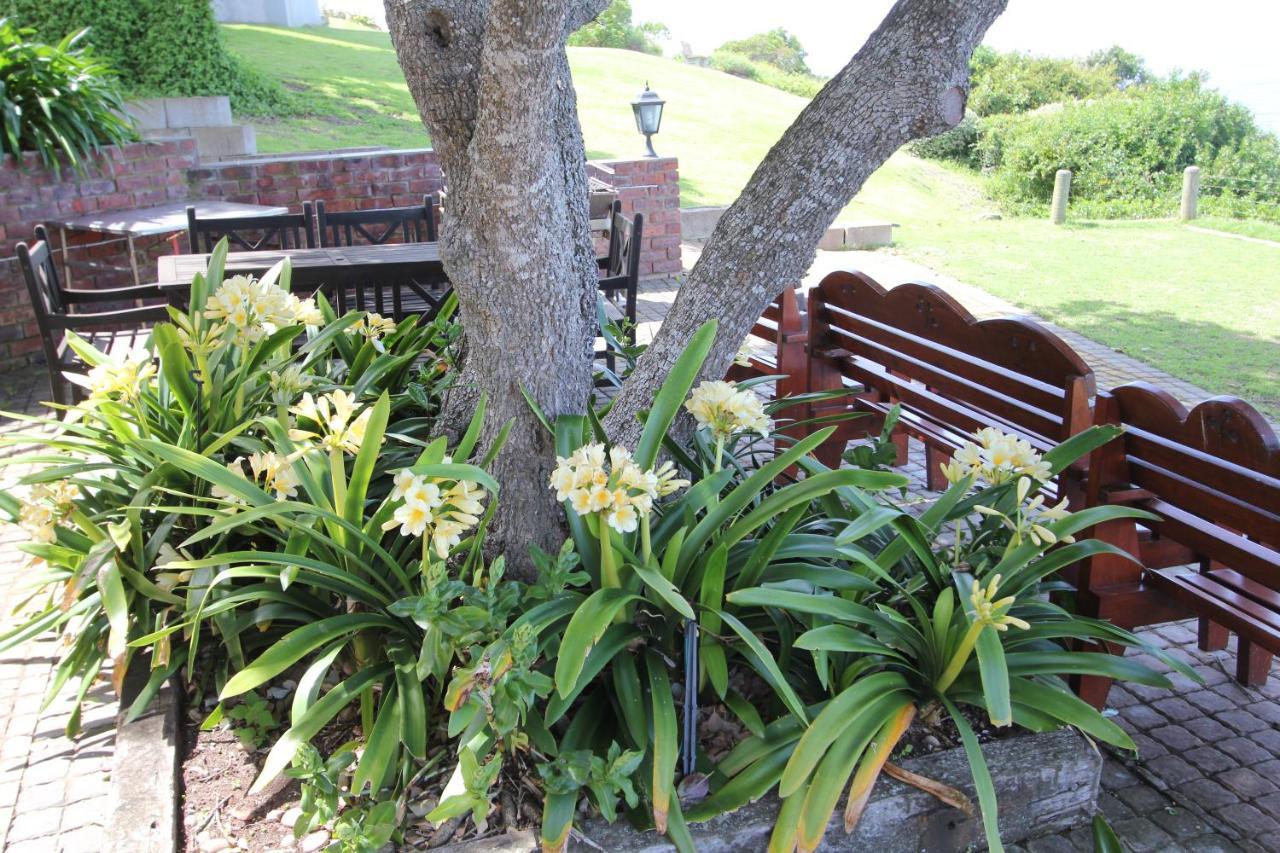 Imperani Apartment Plettenberg Bay Exterior photo